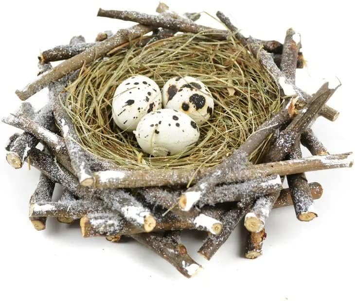 Pametno -6 ptičje gnijezdo / travnati ptičje gnijezdo na grančicama / umjetnim gnijezdom s jajima