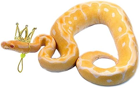 2 pakirajte krunu zmija s podesivim remenom za elastičnu bradu za kuglu Python Snake Tiny Pet Crown