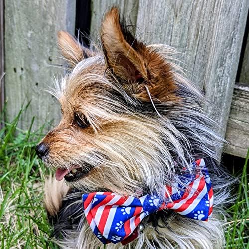 Huxley & Kent 4. srpnja paket za pse | Velika | All Star Pawdka & Paws & Stripes Bow Tie | Plišani, škripavi, igračka i ogrlica