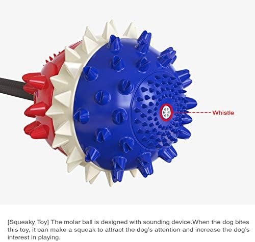 Sakiway je nadogradio dvostruke usisne šalice Psi igračke za agresivne žvakaće, interaktivni tegljač ratnih konopca igračaka,