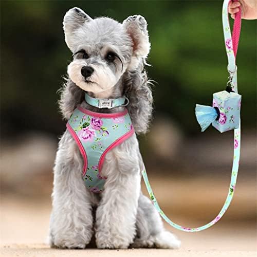 Walnuta 4pcs/lot prilagođeni najlonsko ovratnik za dog kabelski kabinski set Personalizirani ogrlice za pse za kućne ljubimce