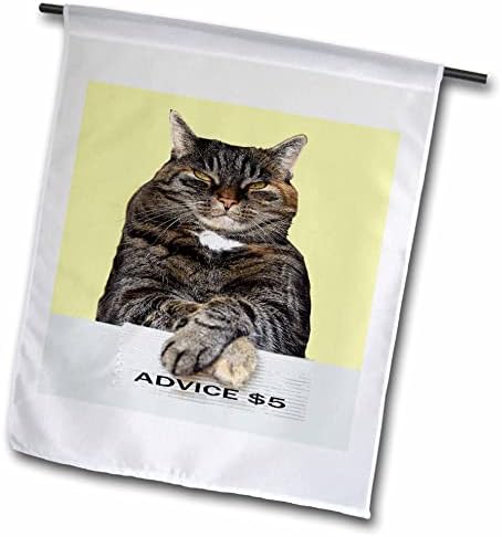 3-inčni dizajn mačke Sandi Mertens-smiješni savjet , mačka koja gleda u nebo, mrzovoljni Meme - zastave