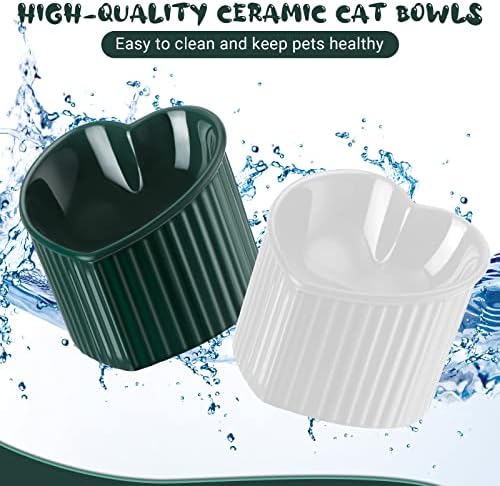 2 PCS Keramičke povišene mačje zdjele nagnute povišene uzdignute mačje zdjele protiv povraćanja mačjih zdjela za unutarnje