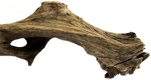 Galápagos Sinkble Driftwood krevet, prirodan, veliki/18-24