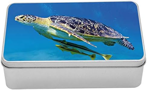 Metalna kutija Ambsonne kornjače, bijesno izgled morske kornjače plivanje s remora ribama fauna pod morem, višenamjenski