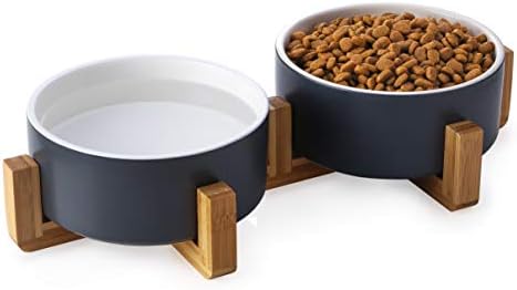 + Keramički Set zdjela za pse i mačke, zdjele za vodu za pseću hranu od 24 oz s drvenim postoljem, Moderni slatki set ponderiranih