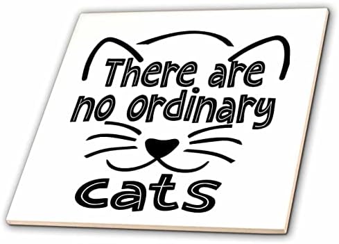 Crteži mačaka 3s-ne postoje obične mačke - pločice s umjetninama