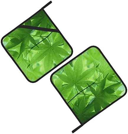 Zelena priroda 2 pakiranja držača lonca za kuhinjsku toplinu rezistentnih držača lonca set pećnica vrućih jastučića držača