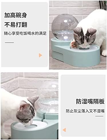 Zdjela za mačke dvostruka zdjela za pse automatska zdjela za rižu za piće
