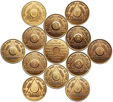 Kompletni set od 12 mjeseci - 1,2,3,4,5,6,7,8,8,9,10,11, a 18 -mjesečni brončani AA Medaljoni spokoj molitveni čips