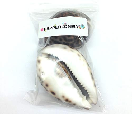 Pepperlonely 2pc polirane morske školjke Tiger Cowrie, 3 inča ~ 4 inča