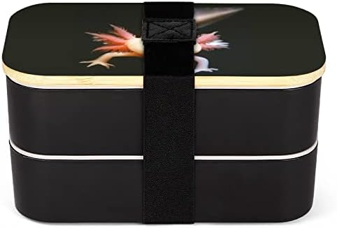 Slatka Newt Axolotl Bento kutija za ručak nepropusna bento kutija kontejneri za hranu s 2 odjeljka za izletnicu izletnice