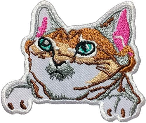 Papapatch slatka mačka mačka mačića applique izvezena šiva na željezo na flasteru